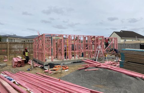 Coming Soon (8 Houses)